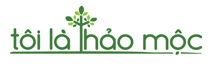 Khách hàng