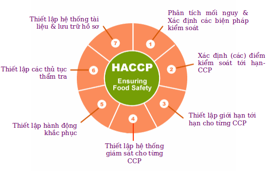 Tiêu chuẩn HACCP là gì và đối tượng áp dụng tiêu chuẩn HACCP