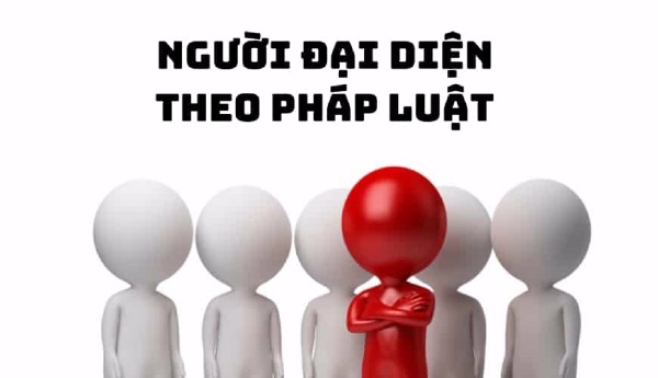Đại diện theo pháp luật, đại diện do tòa án chỉ định trong vụ việc dân sự