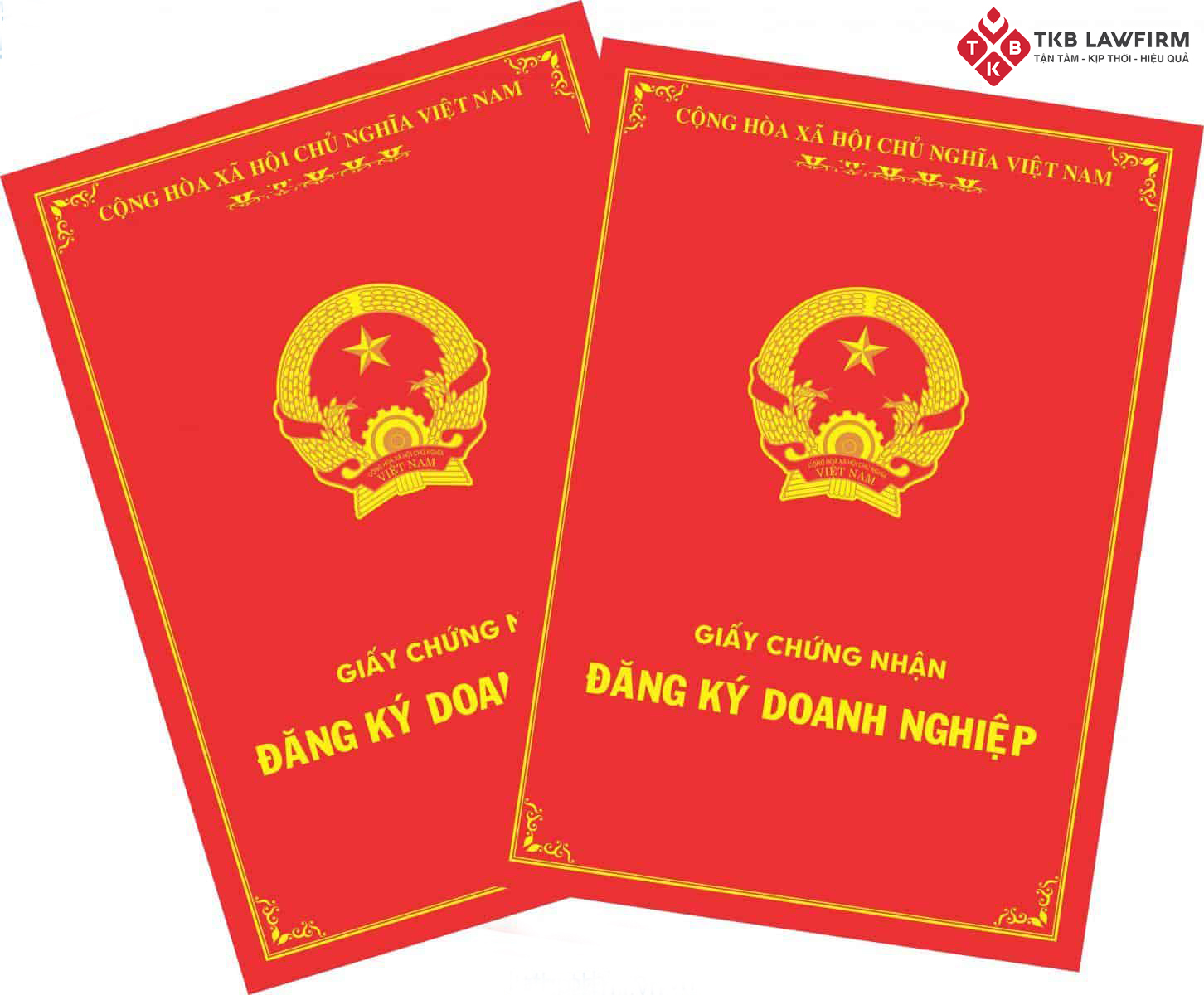 Thủ tục đề nghị cấp Giấy chứng nhận đăng ký doanh nghiệp nhanh chóng, đơn giản nhất 2021