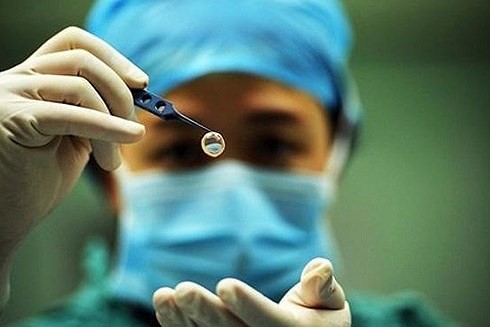 Quyền sống, quyền được bảo đảm an toàn về tính mạng, sức khỏe, thân thể