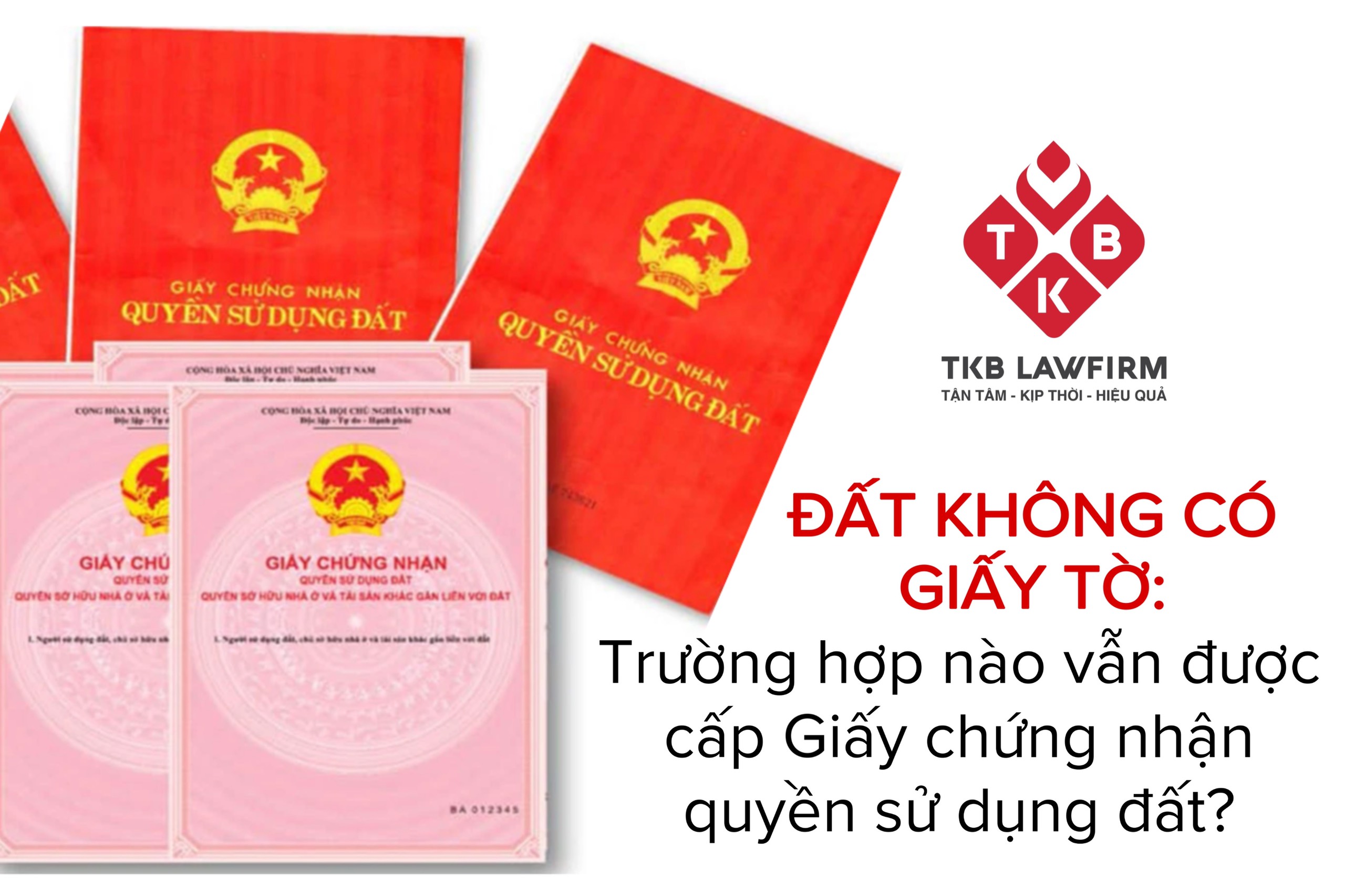Đất không có giấy tờ: Trường hợp nào vẫn được cấp Giấy chứng nhận quyền sử dụng đất?